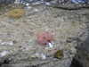 20200807085417-DSCN3572.JPG