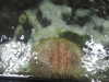 20200807085425-DSCN3573.JPG