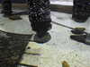20200807085441-DSCN3574.JPG