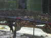 20200807085453-DSCN3576.JPG
