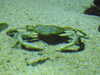 20200807085514-DSCN3579.JPG