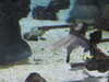 20200807085608-DSCN3581.JPG