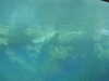 20200807085650-DSCN3583.JPG