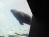20200807085830-DSCN3587.JPG