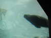 20200807085834-DSCN3588.JPG
