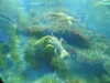 20200807090001-DSCN3589.JPG
