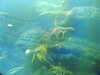 20200807090022-DSCN3592.JPG