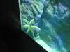 20200807090347-DSCN3594.JPG