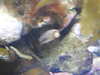 20200807090455-DSCN3597.JPG
