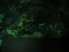 20200807090644-DSCN3601.JPG