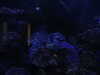 20200807090739-DSCN3604.JPG