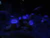 20200807090801-DSCN3606.JPG