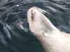 20200807092034-DSCN3633.JPG