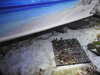 20200807092236-DSCN3636.JPG