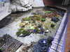 20200807092240-DSCN3637.JPG