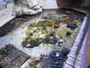 20200807092241-DSCN3638.JPG