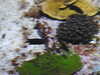 20200807092250-DSCN3641.JPG