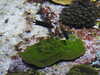 20200807092250-DSCN3642.JPG