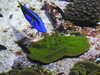 20200807092256-DSCN3643.JPG
