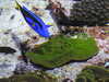 20200807092256-DSCN3644.JPG