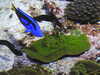 20200807092257-DSCN3645.JPG