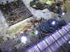 20200807092314-DSCN3646.JPG