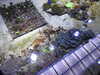 20200807092315-DSCN3647.JPG
