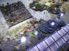 20200807092315-DSCN3648.JPG