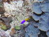 20200807092326-DSCN3649.JPG