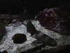 20200807092403-DSCN3651.JPG
