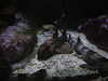 20200807092412-DSCN3653.JPG