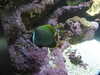 20200807092427-DSCN3655.JPG