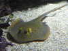 20200807092441-DSCN3657.JPG