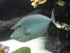 20200807092459-DSCN3658.JPG