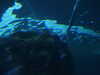 20200807092958-DSCN3665.JPG