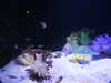 20200807093332-DSCN3683.JPG
