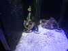 20200807093339-DSCN3684.JPG