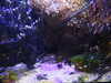 20200807093349-DSCN3685.JPG