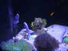 20200807093355-DSCN3686.JPG