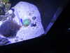 20200807093416-DSCN3688.JPG