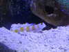20200807093433-DSCN3691.JPG