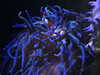 20200807093437-DSCN3692.JPG