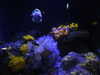 20200807093446-DSCN3693.JPG