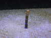 20200807093459-DSCN3695.JPG