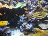 20200807093516-DSCN3696.JPG