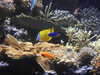 20200807093524-DSCN3697.JPG