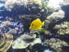 20200807093535-DSCN3698.JPG