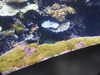 20200807093543-DSCN3699.JPG