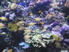 20200807093556-DSCN3700.JPG