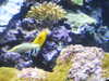 20200807093616-DSCN3701.JPG